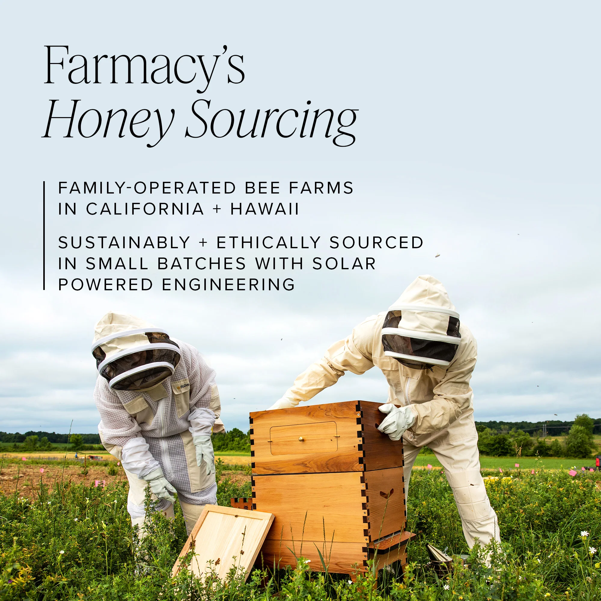 Wake Up Honey Eye Cream - Image 8